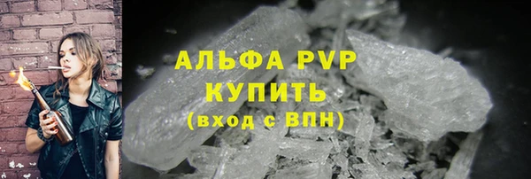 стафф Алексин