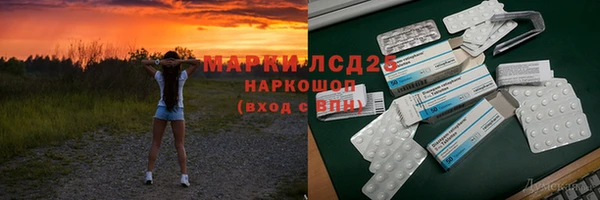 хмурый Алзамай