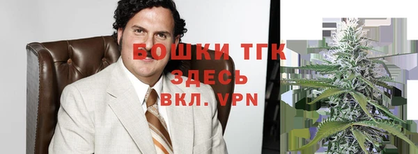 стафф Алексин