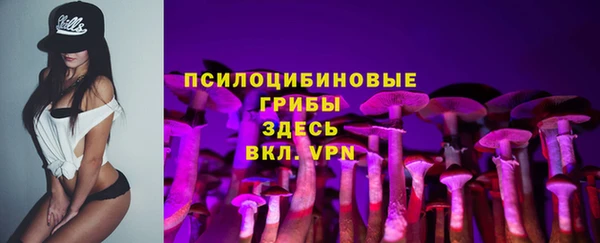 стафф Алексин
