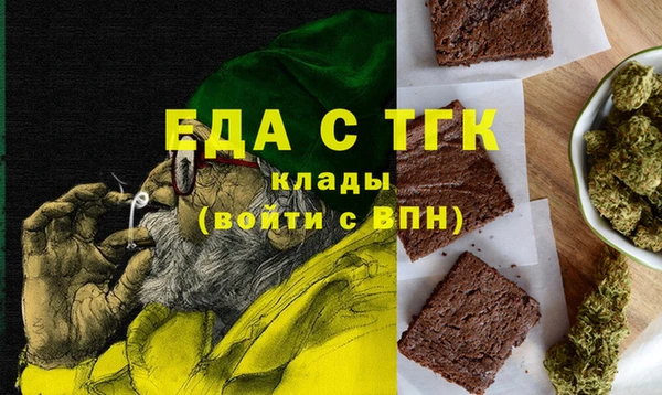 хмурый Алзамай