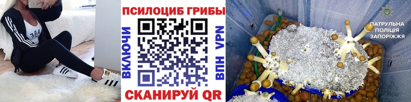 Галлюциногенные грибы мицелий  KRAKEN ONION  Любим 